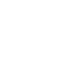 Haas F1 Team logo